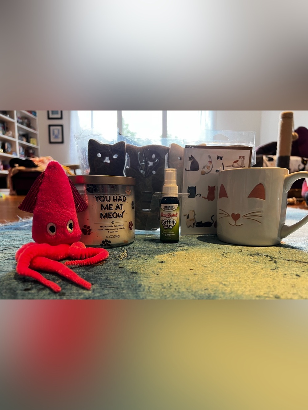 Cat lover bundle meow